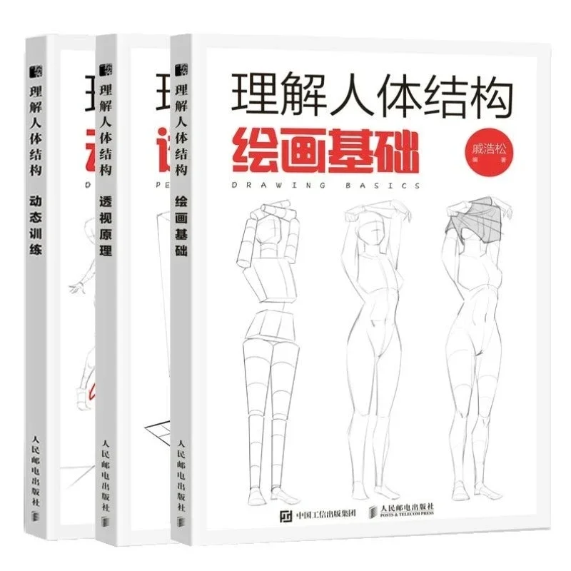Photography Architecture - Capire la struttura del corpo umano: