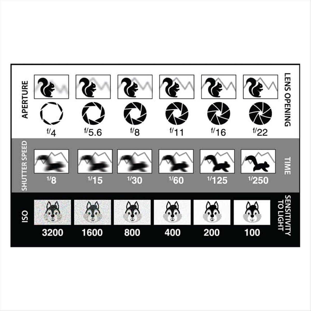 Nuovo Visore/Strumento di Comp - Photography Triangle recensione e prezzo
