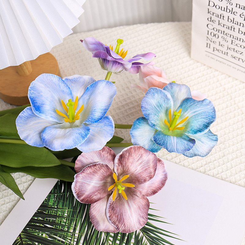 5 pz 54 cm Flip Tulip Gradient - Photography Wedding recensione e prezzo