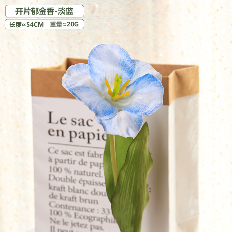 5 pz 54 cm Flip Tulip Gradient - Photography Wedding recensione e prezzo