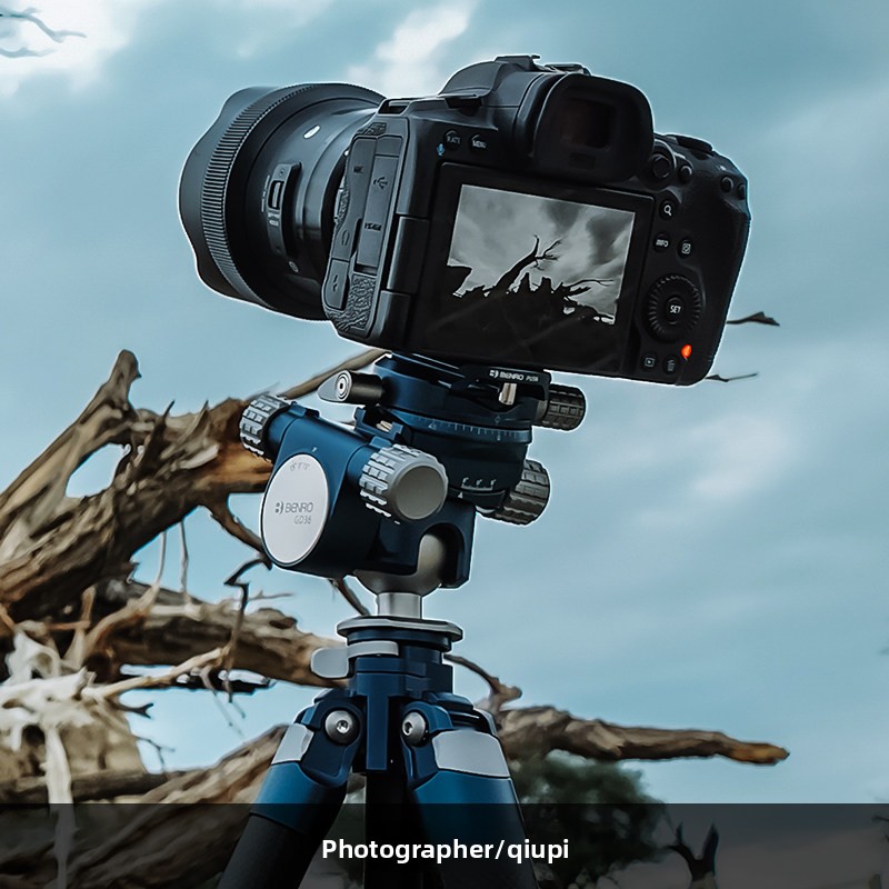 BENRO GD36PT Testa a Sfera Ori - Photography Architecture recensione e prezzo
